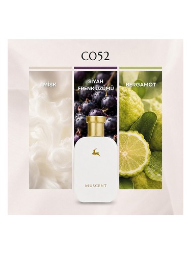 C052 Muscent 香水 - 年のユニセックス フレグランス