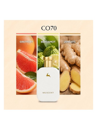 Muscent C070 parfüm şişesi