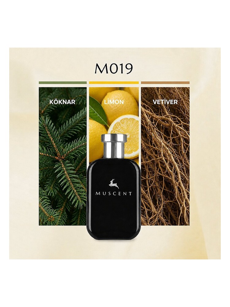 M019 Muscent cologne - a fragrance for men