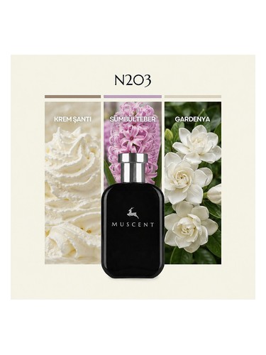N203 Muscent 香水 - 年の女性用 フレグランス