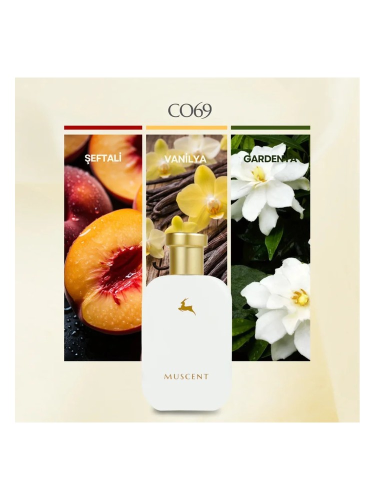 C069 Muscent perfume - a fragrance for women and men