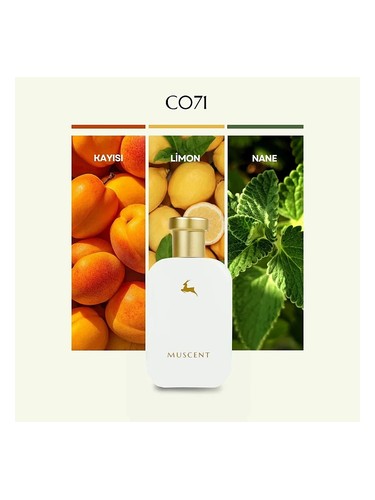 C071 Muscent 香水 - 年のユニセックス フレグランス