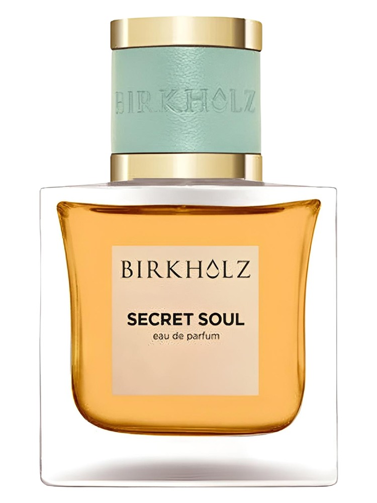 Secret Soul Birkholz perfume - a new fragrance for women and men 2025
