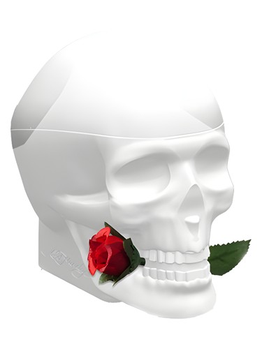 Ed Hardy Skulls &amp; Roses for Her Christian Audigier pro ženy 