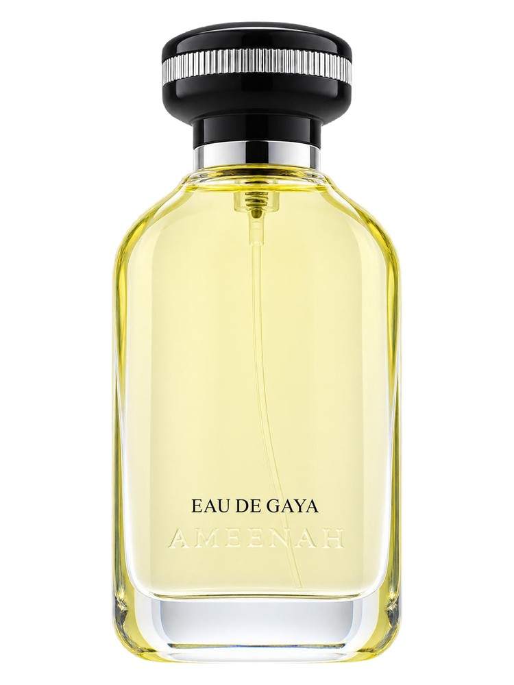 Eau de Gaya Ameenah perfume - a new fragrance for women and men 2026