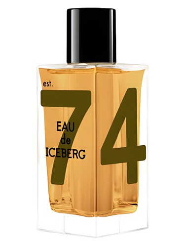 perfume Eau de Iceberg Amber Iceberg pro muže 