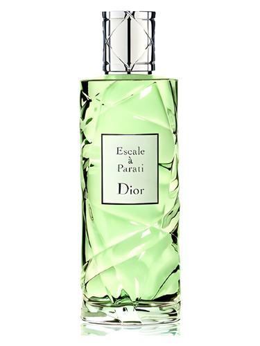 Cruise Collection Escale a Parati Dior pro ženy a muže 