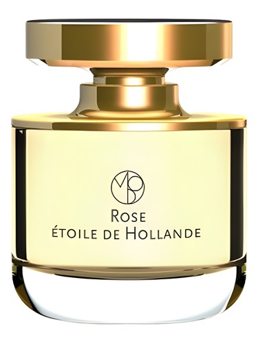 Rose Etoile de Hollande Mona di Orio pro ženy a muže 