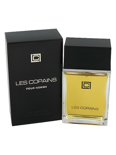 perfume Pour Homme Les Copains pro muže 