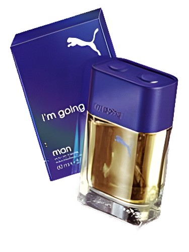 Puma I'm Going Man Puma pro muže 