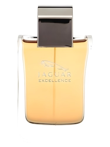 Jaguar Excellence Jaguar pro muže 