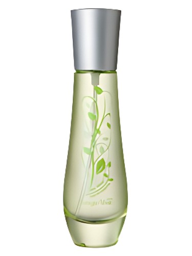 The Verde Bottega Verde pro ženy