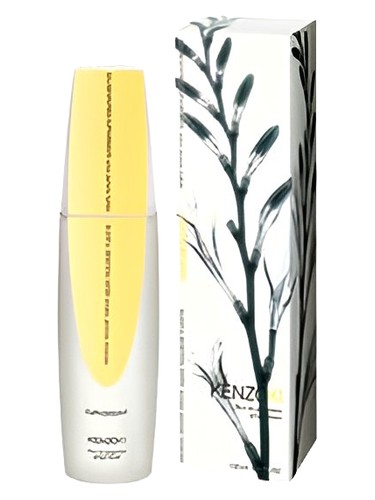 KenzoKi Ginger Flower Euphoric