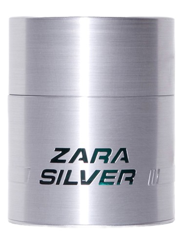 Zara Silver Zara pro muže 