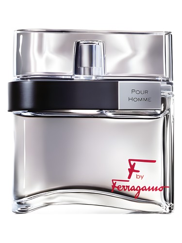 F by Ferragamo Pour Homme Salvatore Ferragamo pro muže 