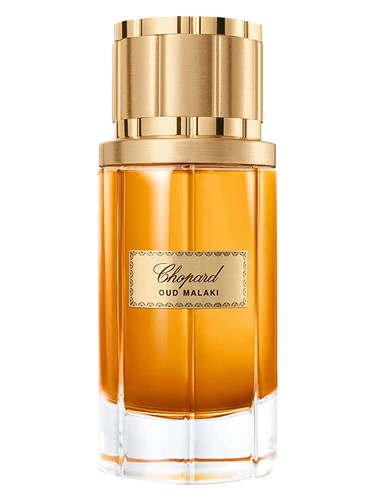 売れ筋新商品 - cologne Chopard Malaki Oud a 2012 men for fragrance 香水(男性用)