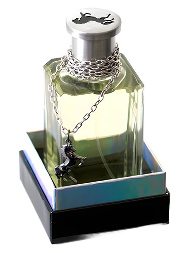perfume Black Stallion by Sergio Goyri Eclectic Collections 男性用