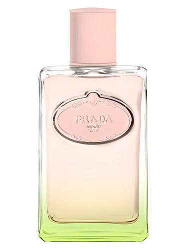 Infusion d'Iris L'Eau d'Iris Prada 香水