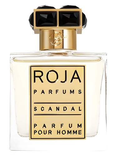 Shop Roja Pour Homme Scandal PARFUM Cologne | ZGO Perfumery