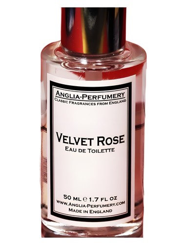 Velvet Rose
