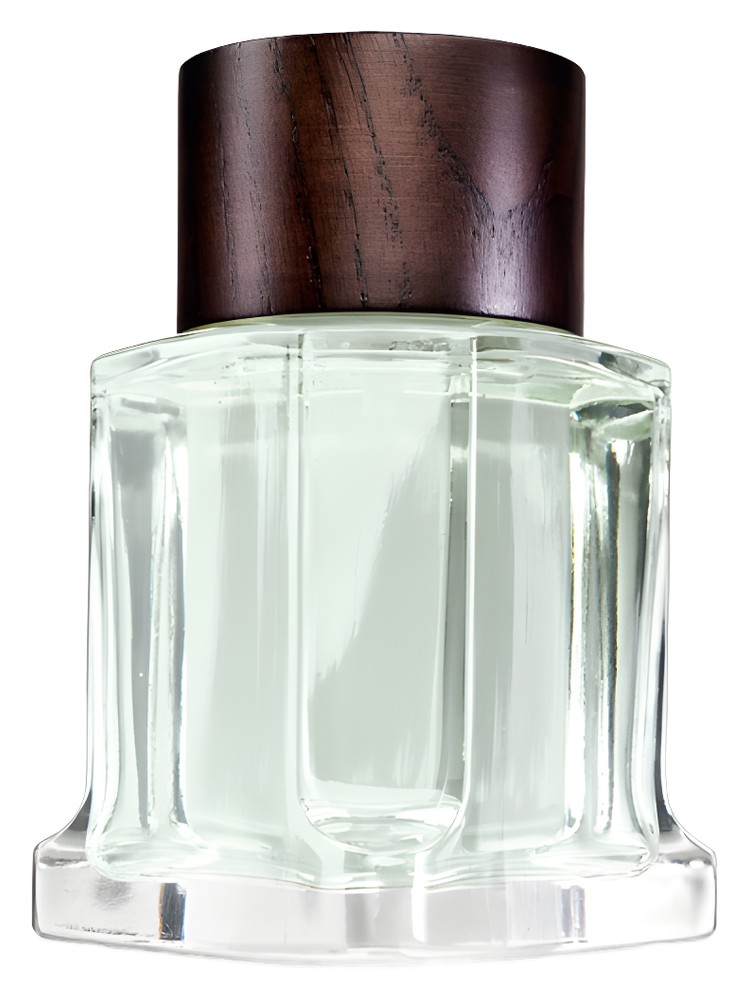 Native Force Oriflame Colônia - a fragrância Masculino 2012