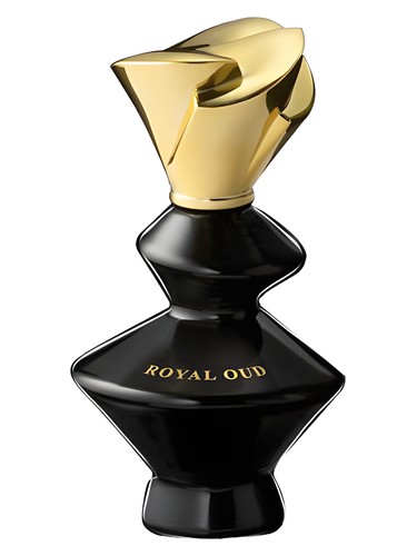 perfume Royal Oud Parfums Regine pro ženy a muže 