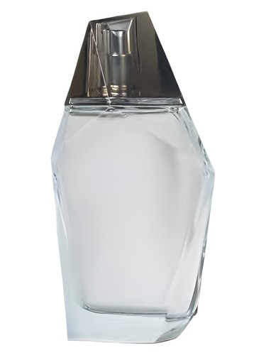 Perceive for Men Avon Colonia una fragancia para Hombres 2000