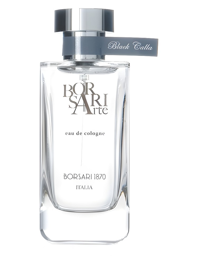 Black Calla Borsari perfume - a fragrance for women and men 2010