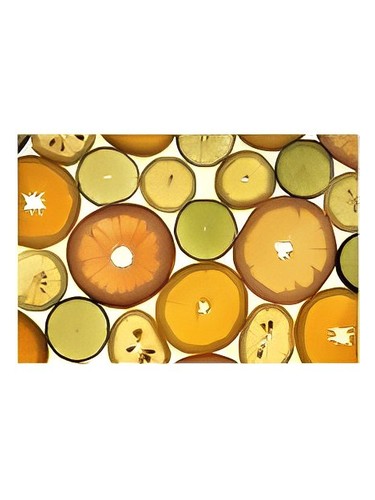Bambini by Abdes Salaam Attars Perfumes