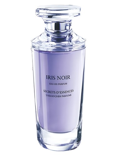 Iris noir