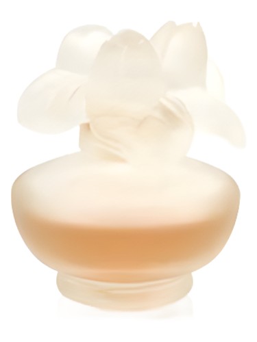 perfume Rose Nuage Pupa pro ženy 