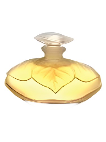 perfume Elle Lancetti pro ženy 
