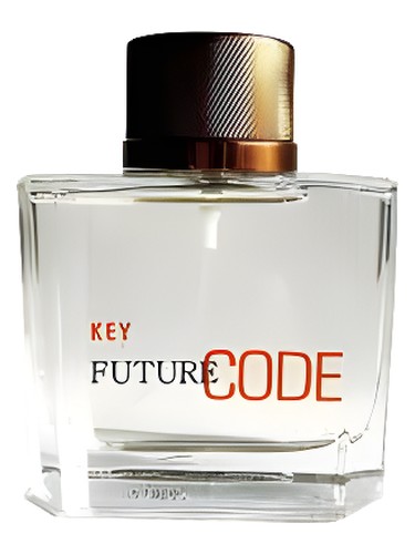 Future Code Key Dzintars pro muže 
