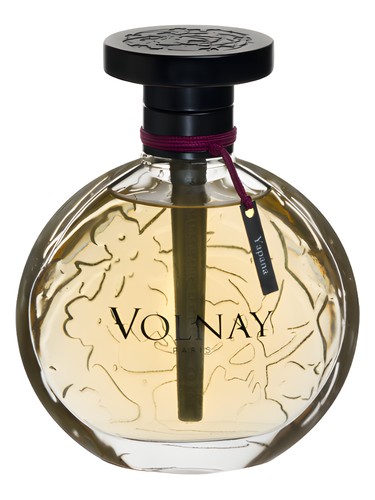 Yapana Volnay pro ženy 
