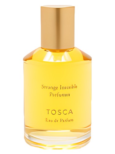 Tosca Strange Invisible Perfumes pro ženy a muže 