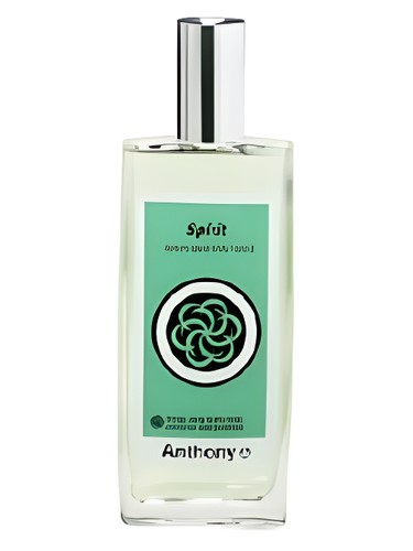 Spirit Anthony Logistics pro muže