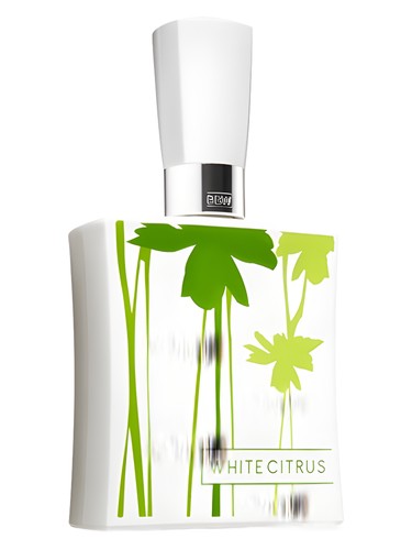香水(男性用) Bath & Body Works White Citrus for Men White Citrus for Men Bath &amp; Body Works cologne - a