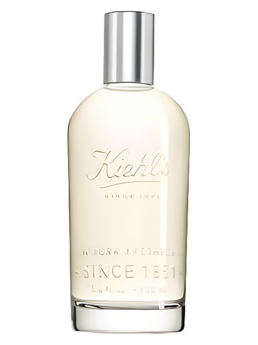 Aromatic Blends: Patchouli & Fresh Rose