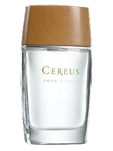 Cereus No.4 Cereus pro muže 