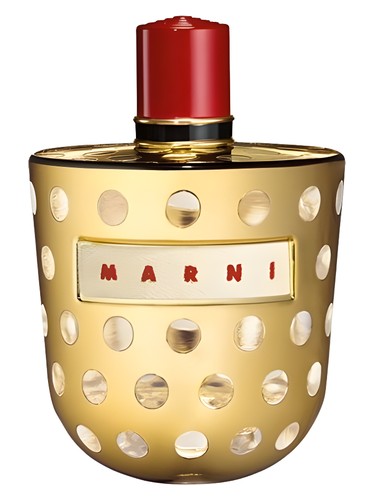 Marni Metallic Marni pro ženy 