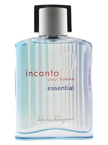 Incanto Essential Pour Homme Salvatore Ferragamo pro muže 