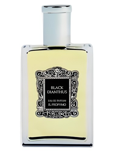 Black Dianthus Il Profvmo pro ženy a muže 