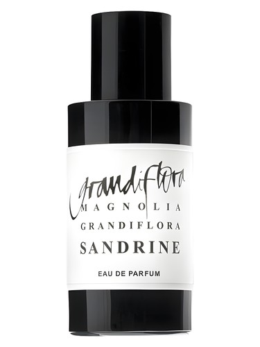 Magnolia Grandiflora Sandrine