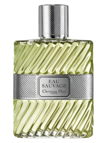 Amazon.com : Christian Dior Eau Sauvage Eau De Toilette