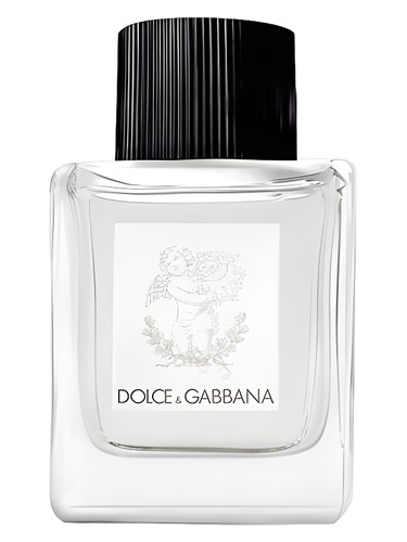 Dolce Gabbana Perfume for Babies