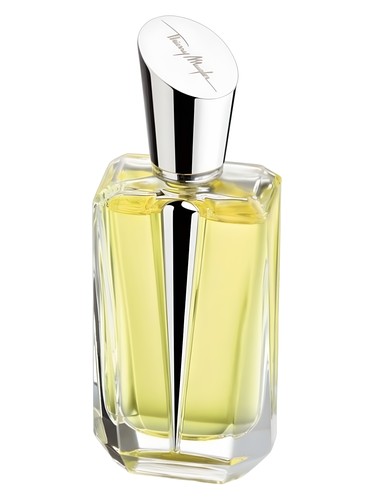 perfume Mirror Mirror Collection - Miroir des Secrets Mugler pro ženy 