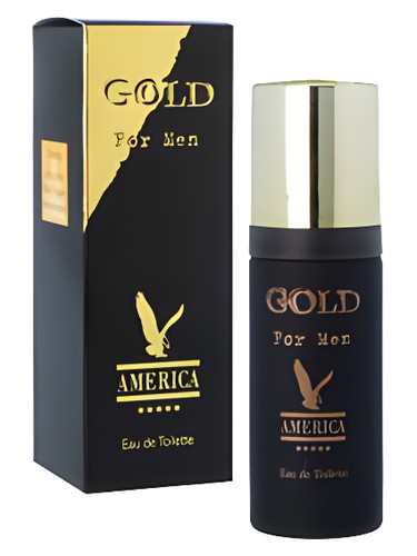 America Gold For Men Milton Lloyd pro muže 