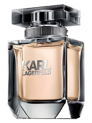 Karl lagerfeld for her
