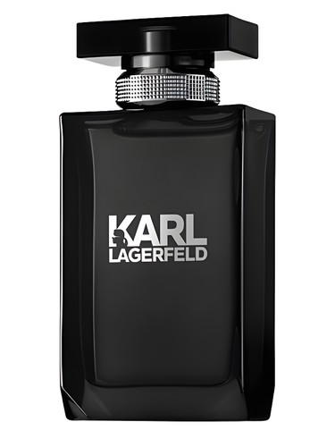 Karl lagerfeld for him