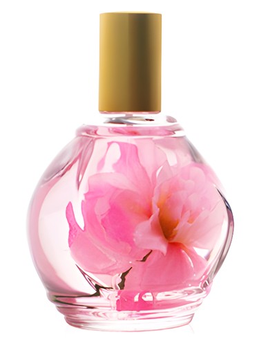 Parfum d&#039;Ambiance Rose Guy Bouchara pro ženy 